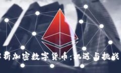全面解析加密数字货币：机遇与挑战的未来