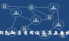 思考  KDPAY钱包的多重用途及其未来发展分析