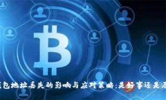 冷钱包地址丢失的影响与应对策略：是好事还是