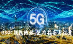 中币USDT钱包地址：使用指南与注意事项