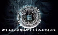 探索上海的数字加密货币生态与发展趋势