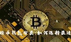 :全面解析比特币钱包分类：如何选择最适合你的