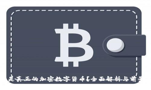 什么是真正的加密数字货币?全面解析与前景展望