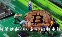 如何管理和100多GB比特币钱包？