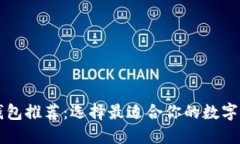 虚拟币主流钱包推荐：选择最适合你的数字资产