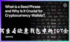 如何查看欧意钱包中的IDT余额？
