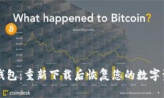 找回TP钱包：重新下载后恢复您的数字资产指南