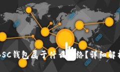 TP钱包里的BSC钱包属于什么网络？详细解析与使用