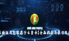 区块链钱包能存什么货币？全面指南与最佳选择