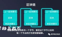 biastpWallet交易打包问题深入解析/biastpWallet, 交易