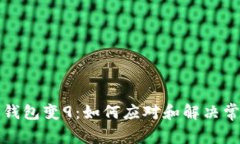比特币钱包变9：如何应对和解决常见问题