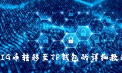 PIG币转移至TP钱包的详细教程