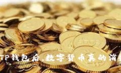 : 删除TP钱包后，数字货币真的消失了吗？