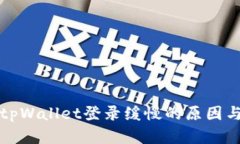 解决tpWallet登录缓慢的原因与建议