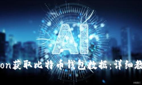 如何使用Python获取比特币钱包数据:详细教程与实用技巧