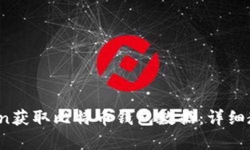 如何使用Python获取比特币钱包数据:详细教程与实用技巧