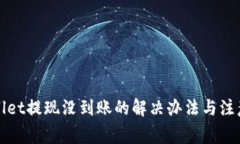 tpWallet提现没到账的解决办法与注意事项