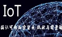 中国认可的加密货币：现状与前景解析