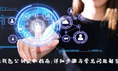 t钱包公钥获取指南：详细步骤与常见问题解答