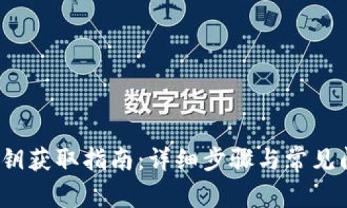 t钱包公钥获取指南：详细步骤与常见问题解答