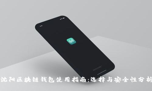 沈阳区块链钱包使用指南:选择与安全性分析