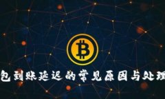 TP钱包到账延迟的常见原因与处理方法