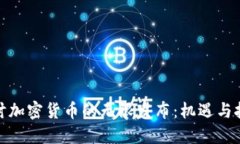 探讨加密货币的无限发布：机遇与挑战