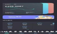 使用tpWallet时是否需要梯子？全面解析与解决方案