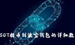 USDT提币到波宝钱包的详细教程