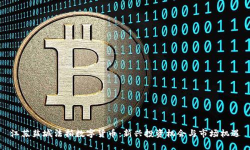 江苏盐城法拍数字货币：新兴投资机会与市场机遇