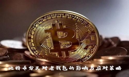 比特币分叉对老钱包的影响与应对策略