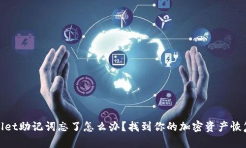 tpWallet助记词忘了怎么办?找到你的加密资产恢复之路