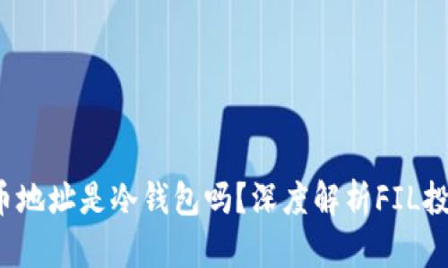 FIL十大持币地址是冷钱包吗?深度解析FIL投资与安全性