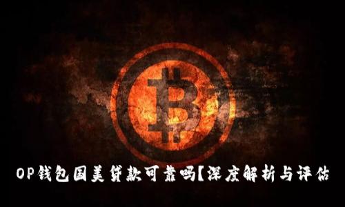 OP钱包国美贷款可靠吗?深度解析与评估