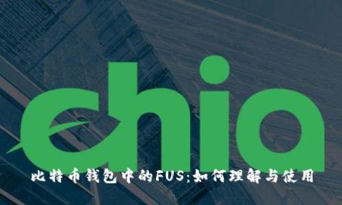 比特币钱包中的FUS:如何理解与使用
