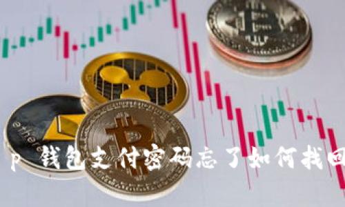彻底解决:t p 钱包支付密码忘了如何找回的详细指南