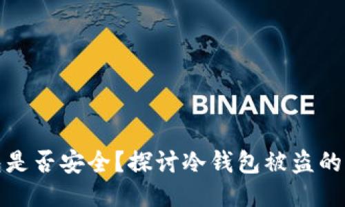 冷钱包是否安全?探讨冷钱包被盗的可能性