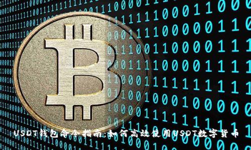 USDT钱包命令指南:如何高效使用USDT数字货币