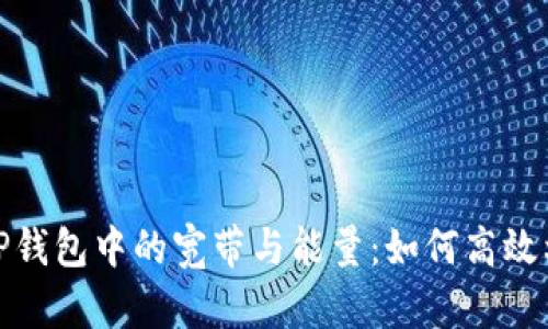 : 深入了解TP钱包中的宽带与能量:如何高效利用数字资产