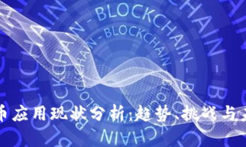 加密货币应用现状分析:趋势、挑战与未来展望