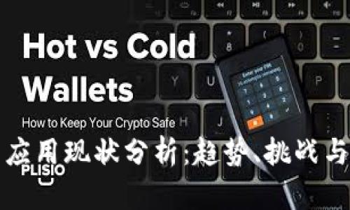 加密货币应用现状分析:趋势、挑战与未来展望