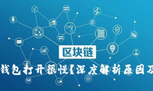 为什么TP钱包打开很慢？深度解析原因及解决方法