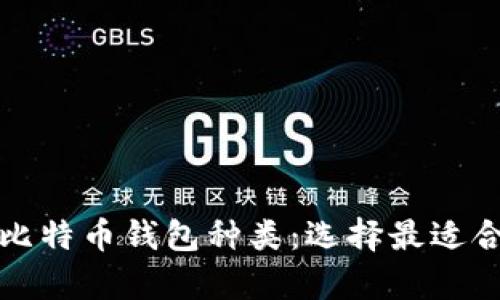 全面解析比特币钱包种类:选择最适合你的钱包