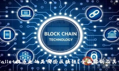 tpWallet提币走的是哪些区块链？全面解析及其优势