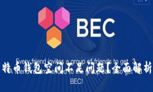 如何解决比特币钱包空间不足问题？全面解析与实用建议