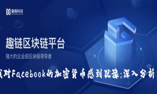 为何我对Facebook的加密货币感到犹豫：深入分析与思考