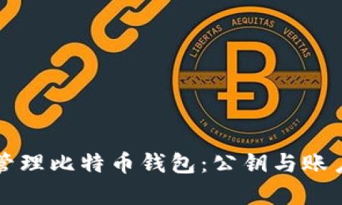 如何安全地管理比特币钱包：公钥与账户的全面解析