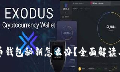 丢失虚拟币钱包秘钥怎么办？全面解读与应对策略