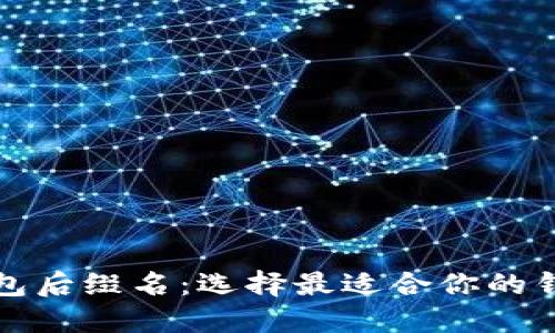 深入了解比特币钱包后缀名：选择最适合你的钱包类型与安全策略