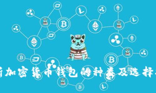 解析加密货币钱包的种类及选择指南